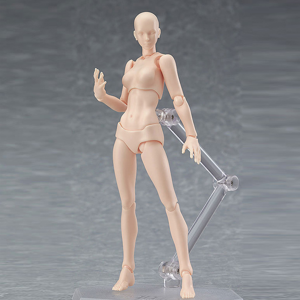 การ์ตูนมังงะศิลปินชายและหญิงสํ - Women Accessories Drawing บทวิจารณ์และราคา